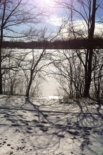 Antrim Park, OH