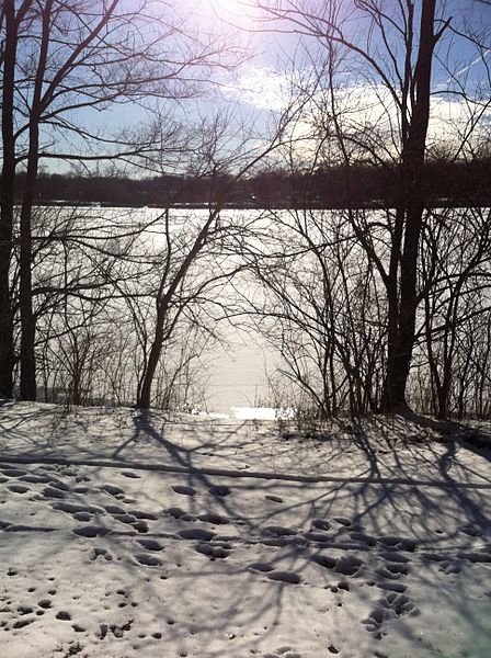 Antrim Park, OH